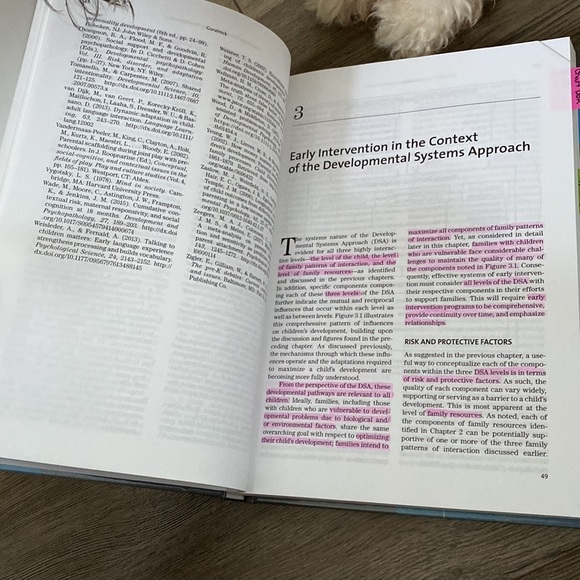 Effective Early Intervention: The developmental systems approach - Picture 2 of 4